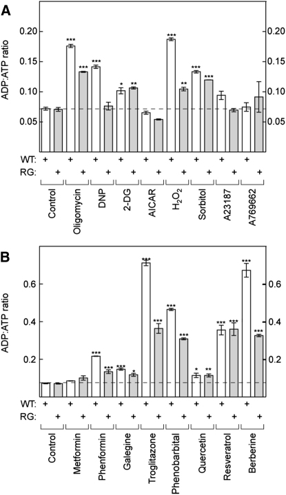 Figure 5