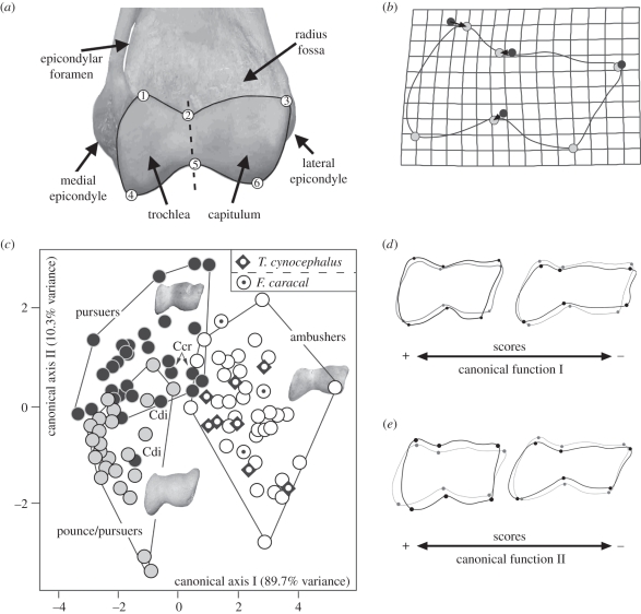 Figure 1.