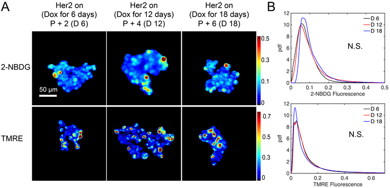 Figure 3: