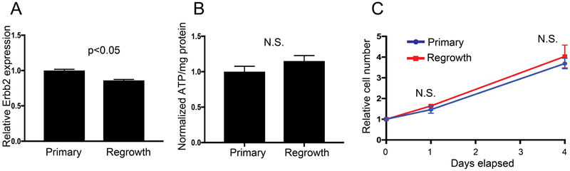 Figure 5: