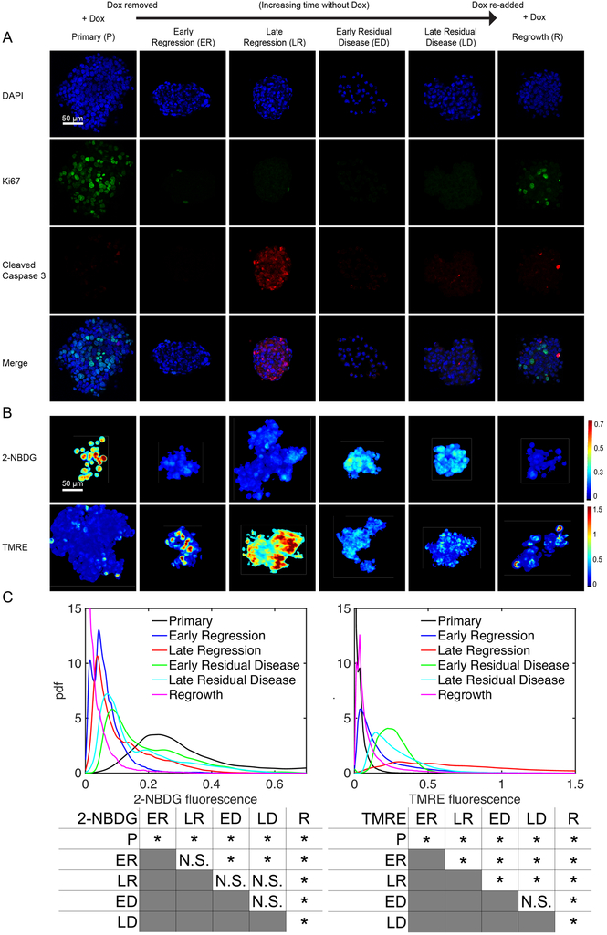 Figure 4: