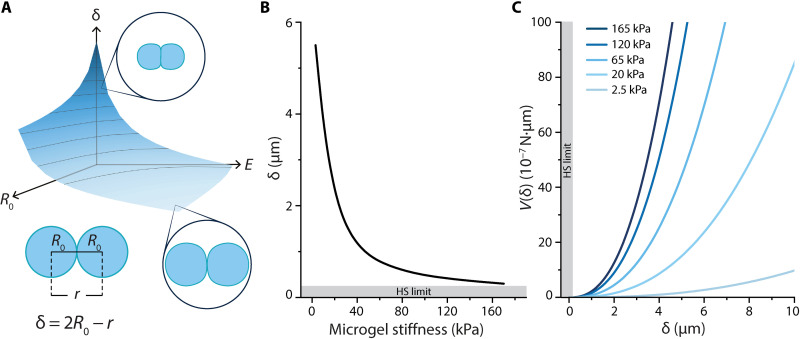 Fig. 6.