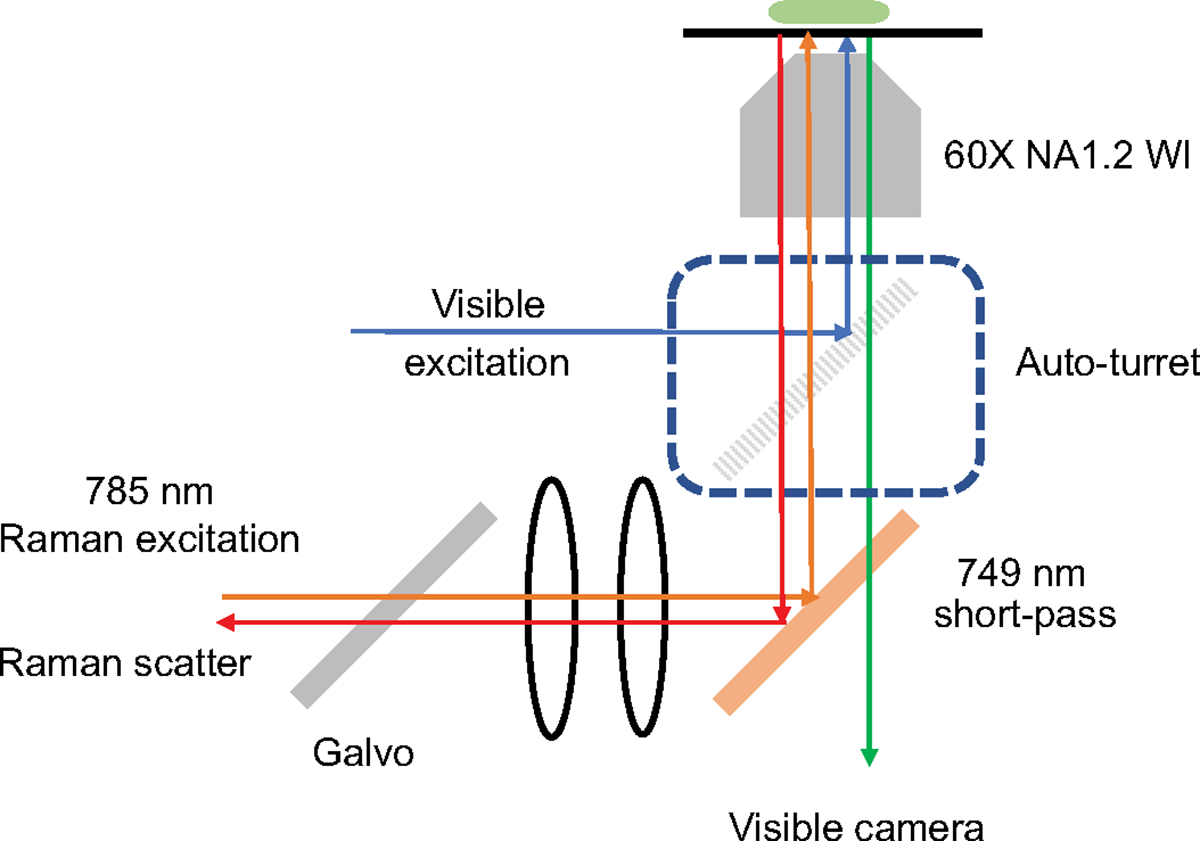 Extended Data Fig. 1 |