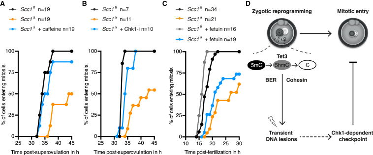 Figure 7