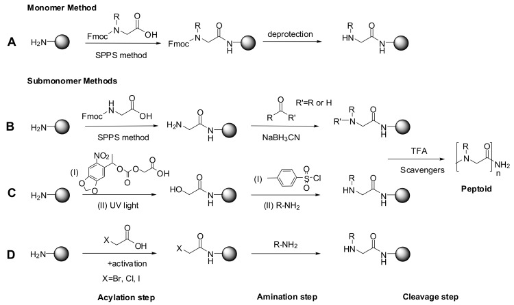 Scheme 1