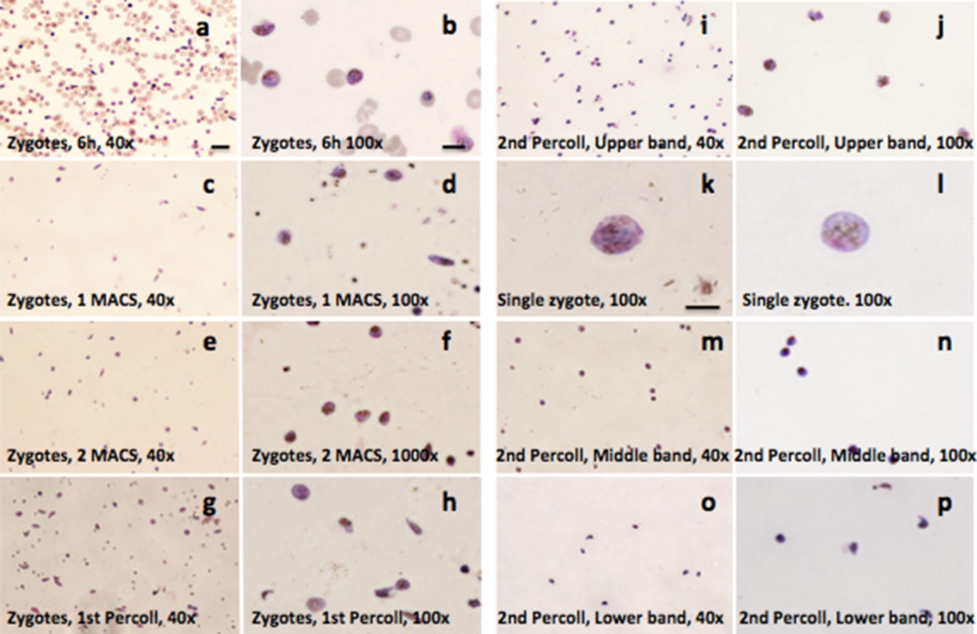 Fig. 3