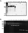 FIG. 2.
