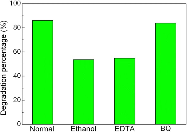 Fig. 11