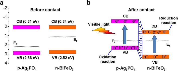 Fig. 12