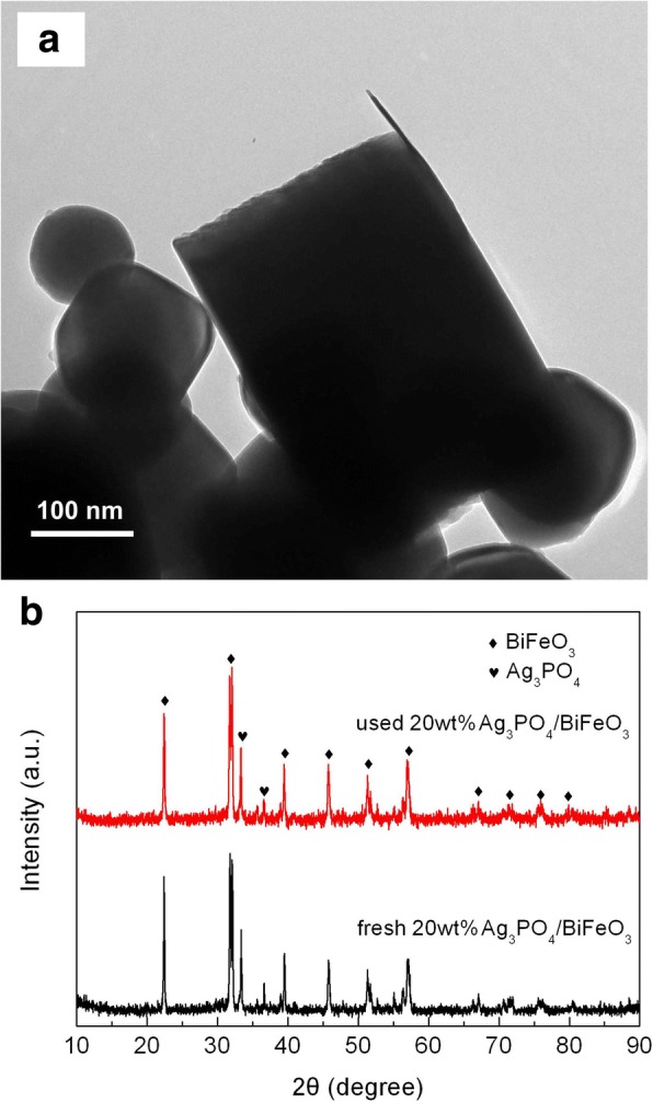 Fig. 8