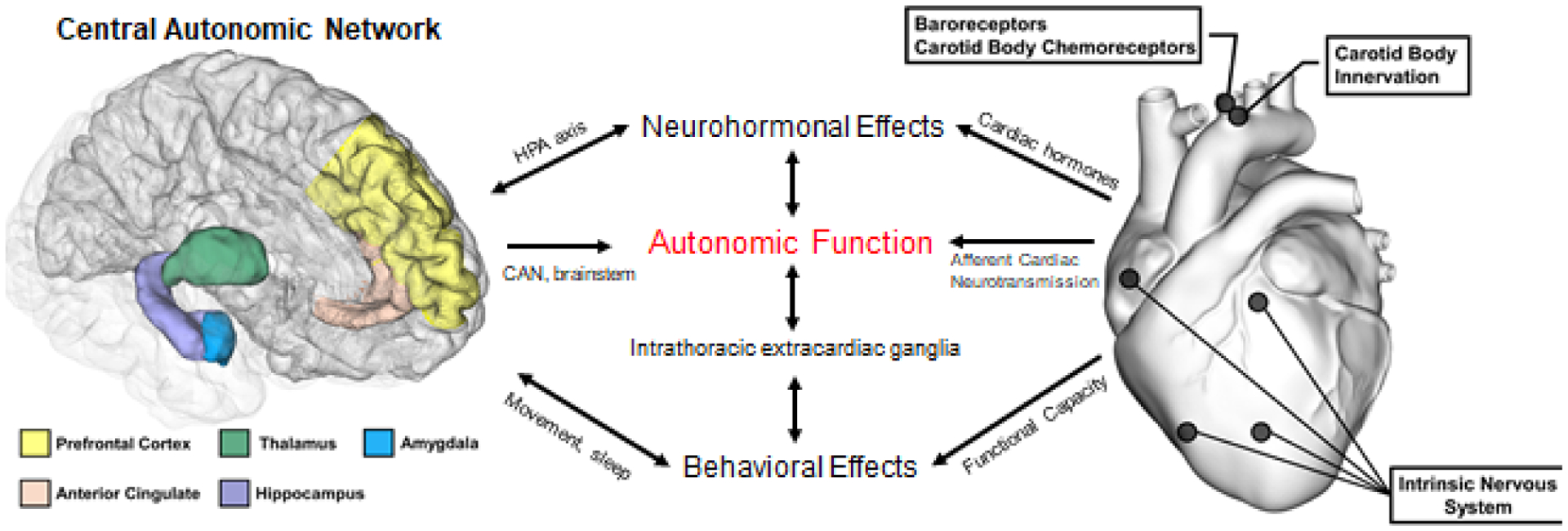 Figure 3: