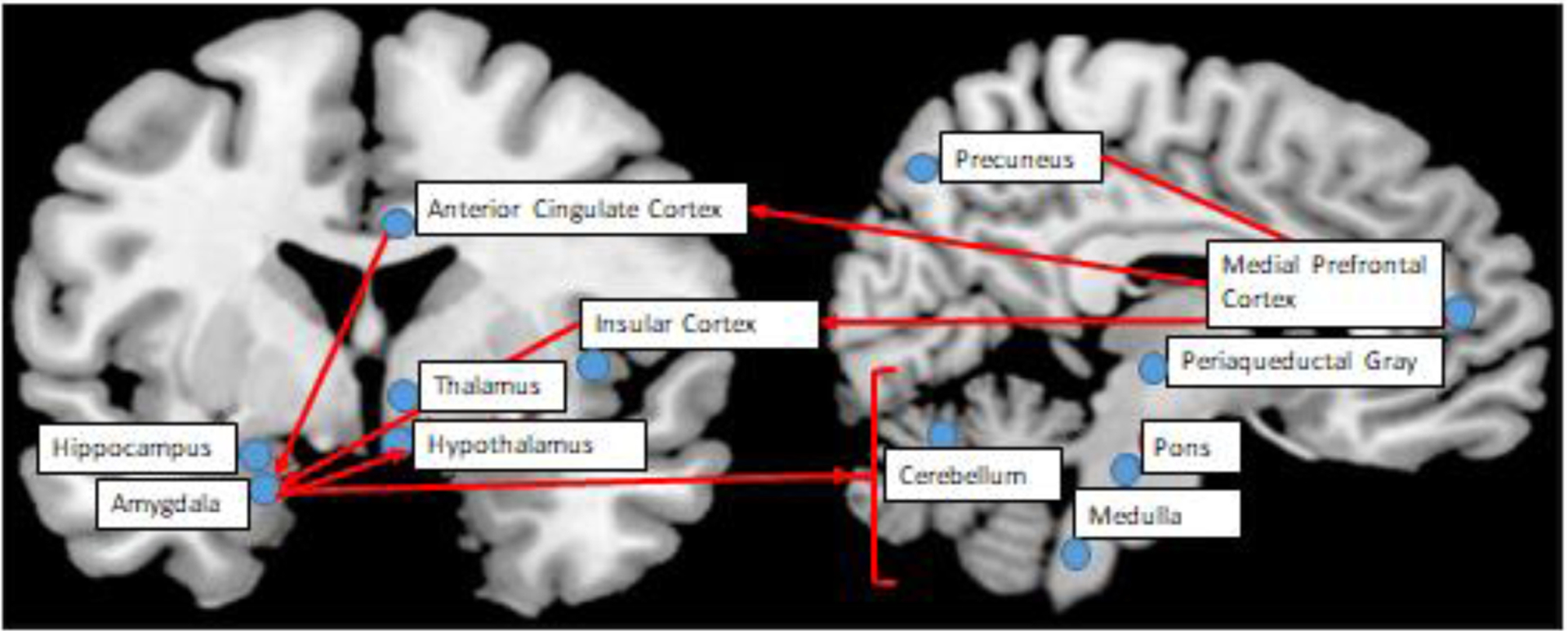 Figure 2: