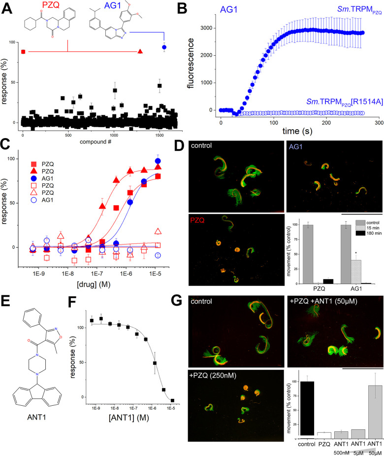 Fig 4