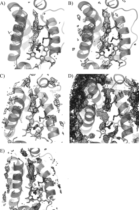 FIGURE 11.