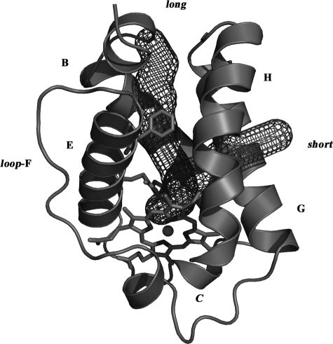 FIGURE 5.