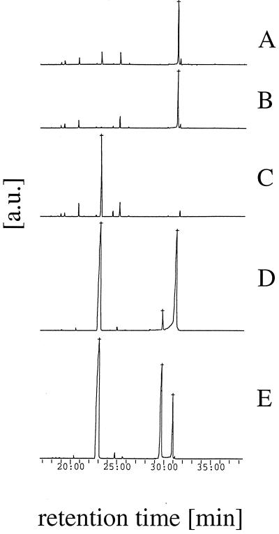 FIG. 5