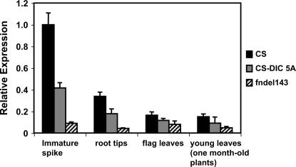 Figure 5.