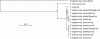 Figure 9.