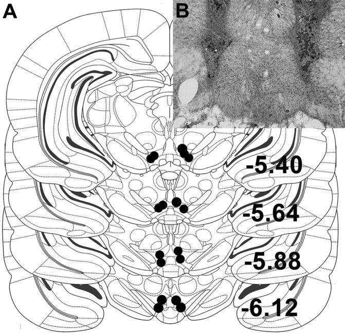 Fig. 1.