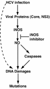 FIG. 7.