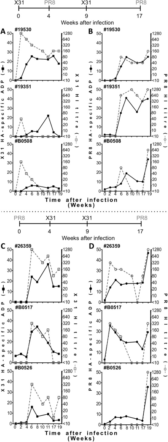 Fig 5