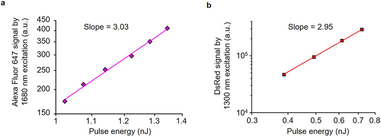 Extended Data Fig. 5 ∣