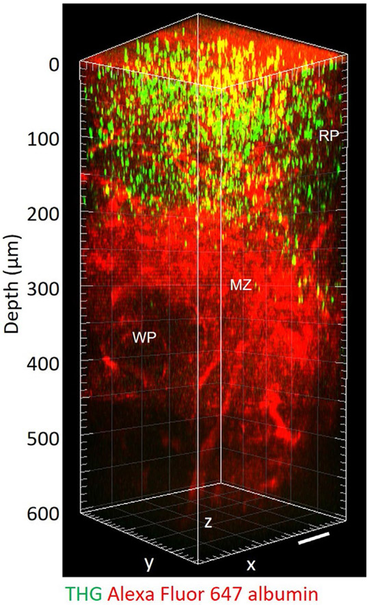 Extended Data Fig. 7 ∣