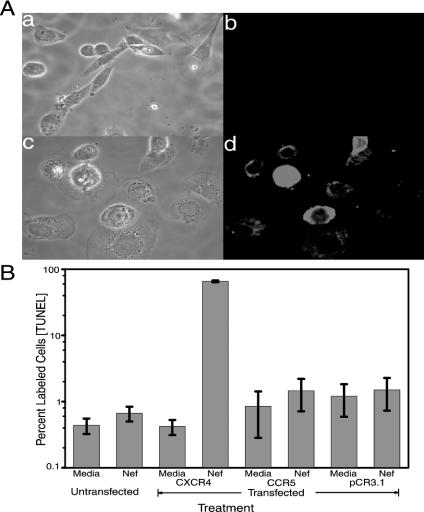 FIG. 7.