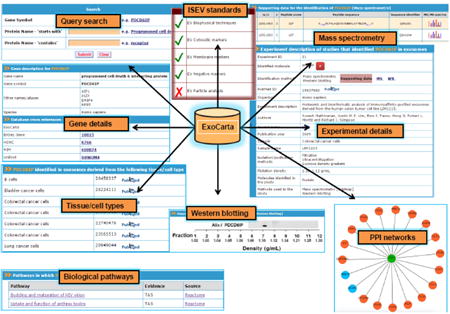 graphic file with name nihms731220u1.jpg