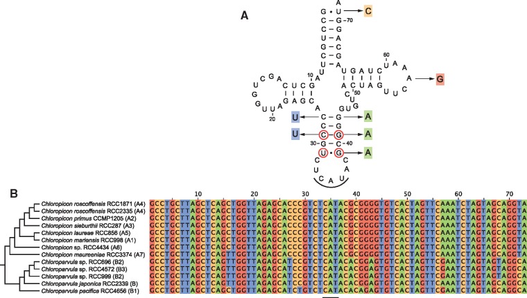 Fig. 7.