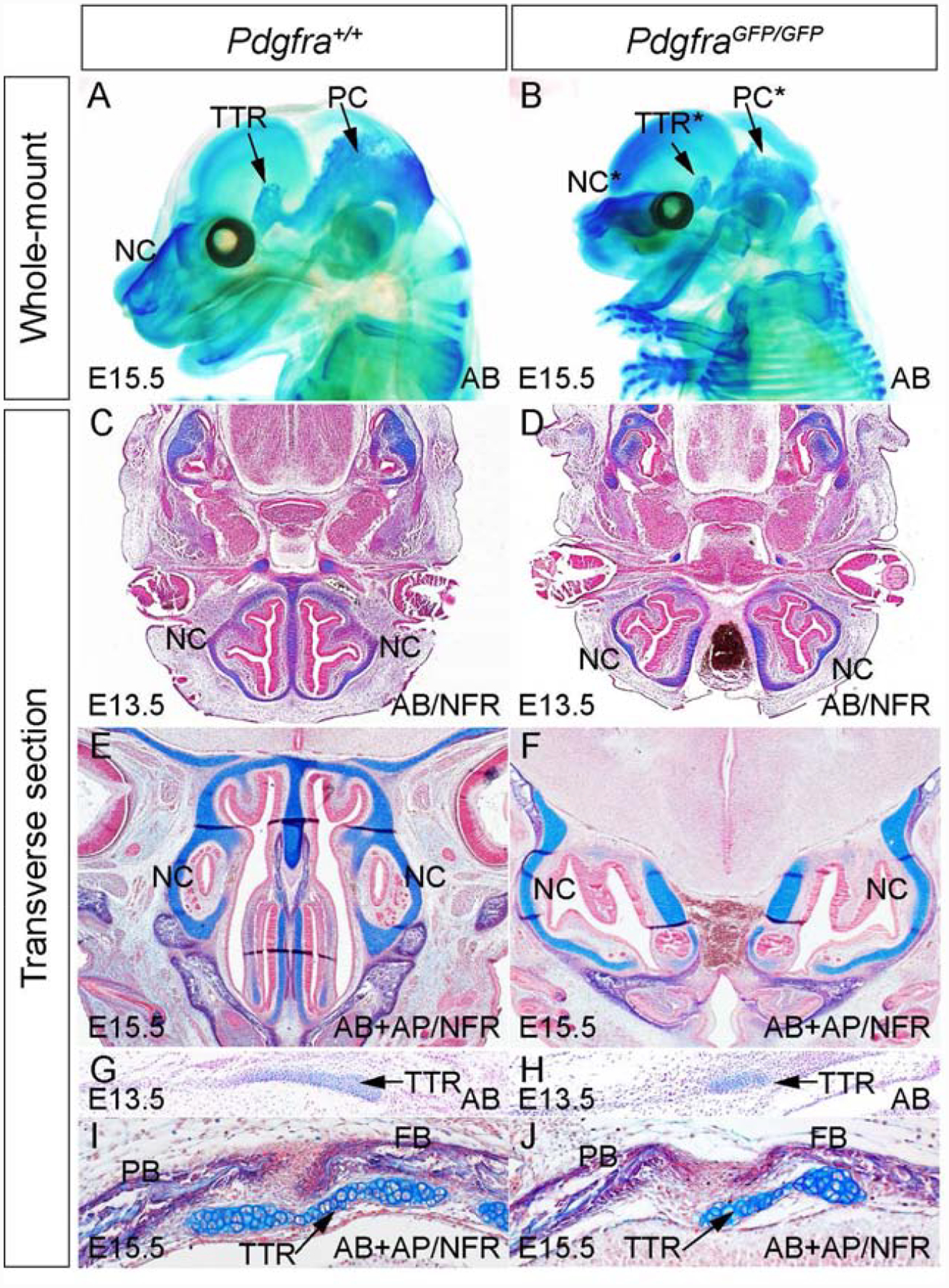 Fig 1.