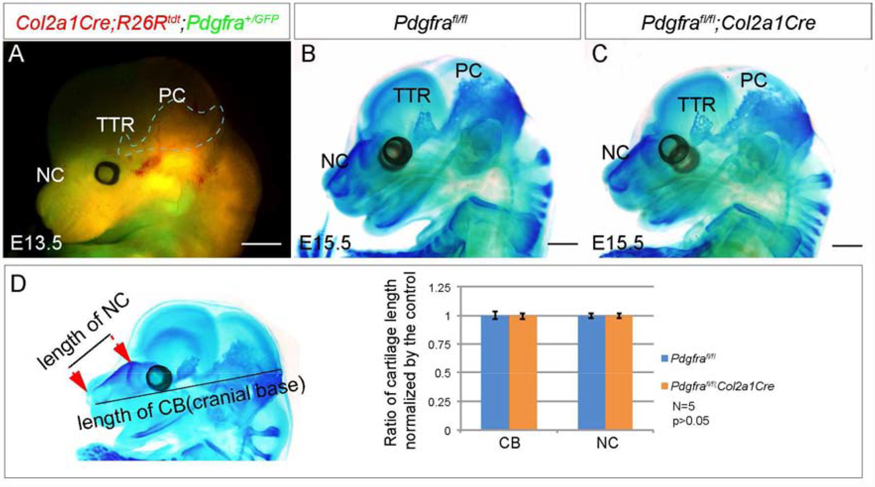 Fig 3.