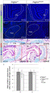 Fig 2.