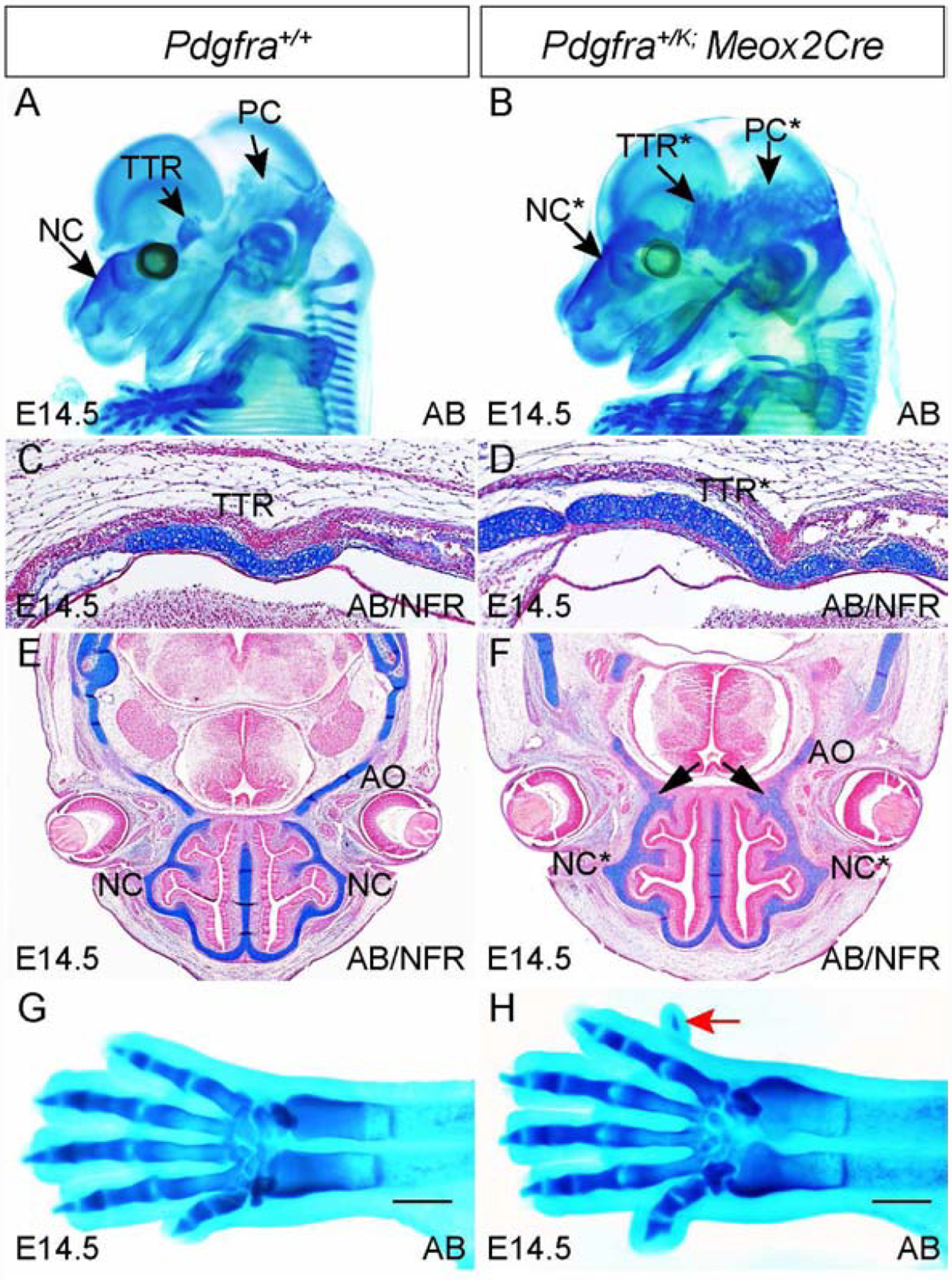 Fig 5.