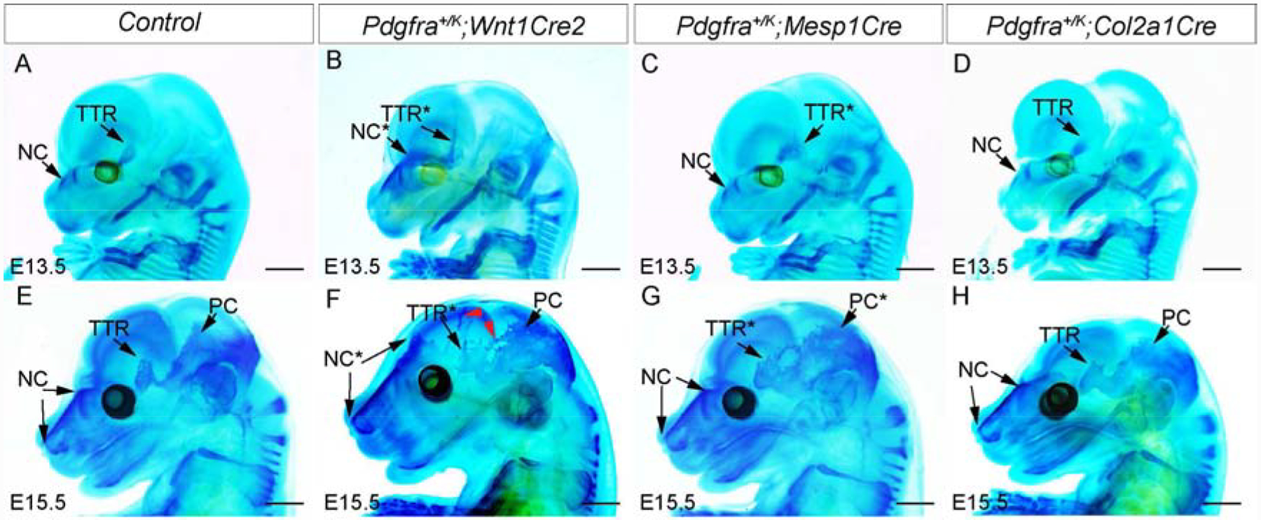 Fig 7.