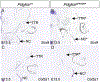 Fig 4.