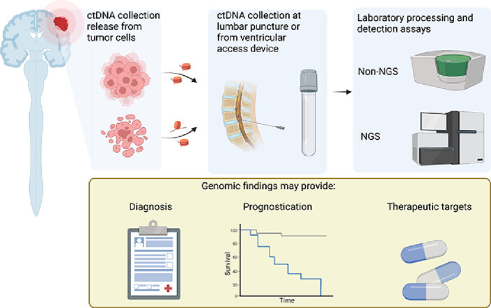 Image, graphical abstract