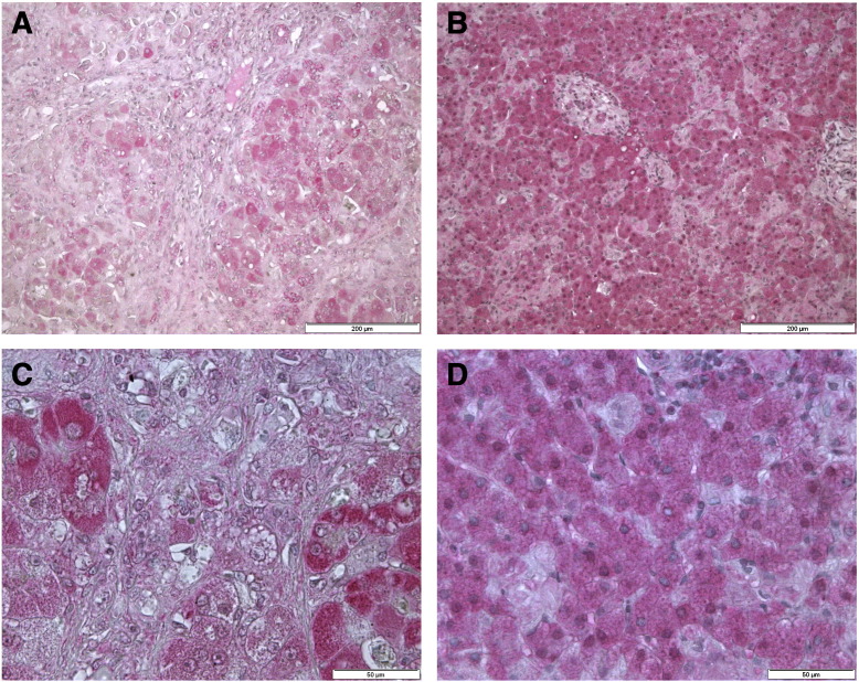 Fig. 4