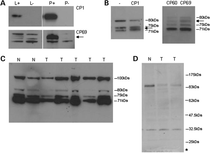 Figure 6.