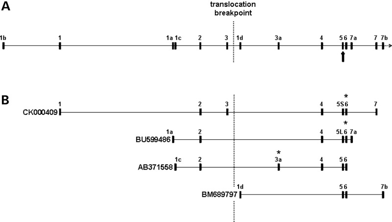 Figure 1.