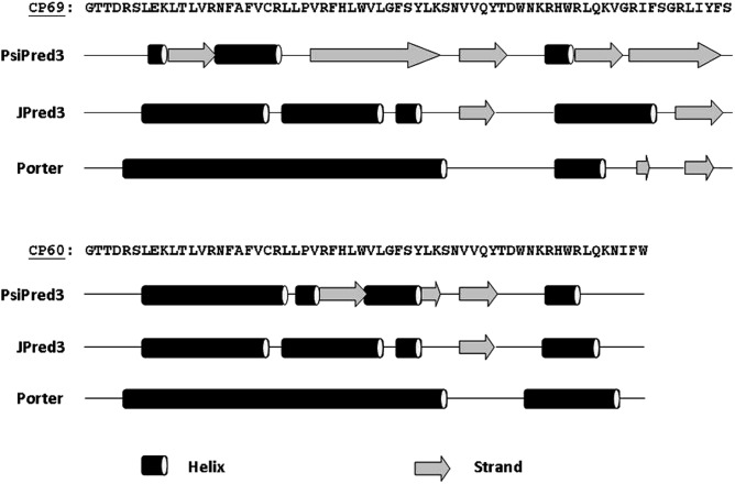 Figure 4.