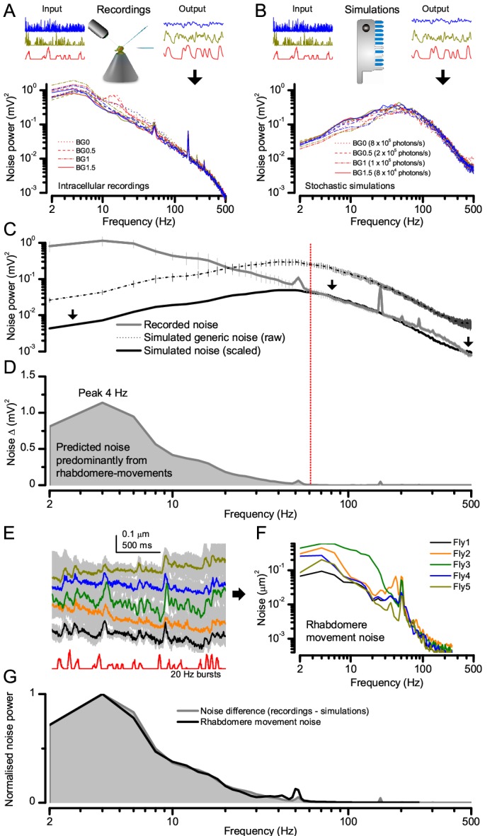 Figure 2—figure supplement 2.