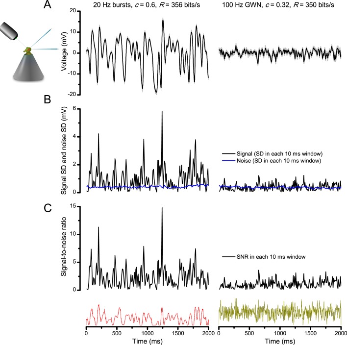 Appendix 3—figure 1.