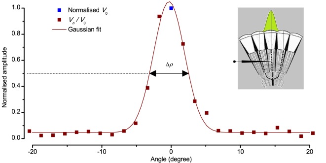 Appendix 4—figure 5.