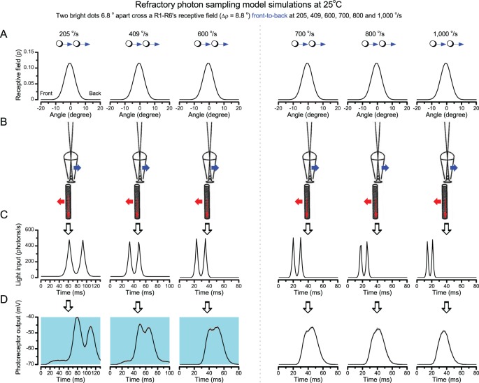 Appendix 8—figure 6.