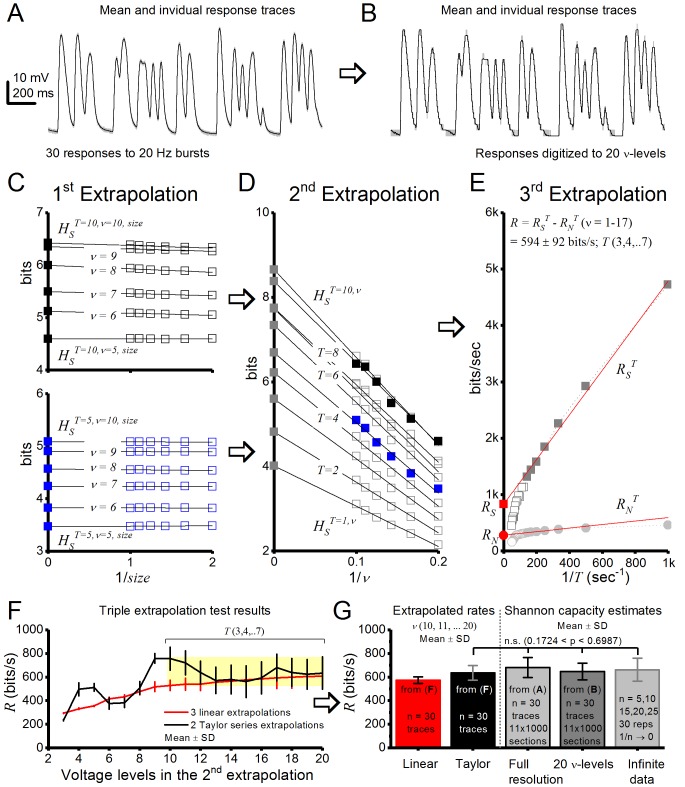 Figure 2—figure supplement 4.