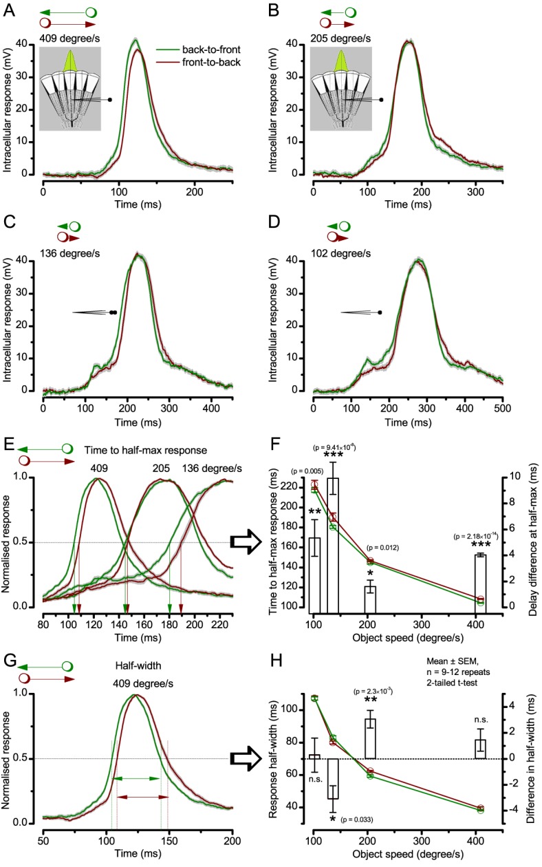 Appendix 6—figure 4.