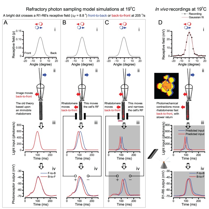 Appendix 8—figure 4.