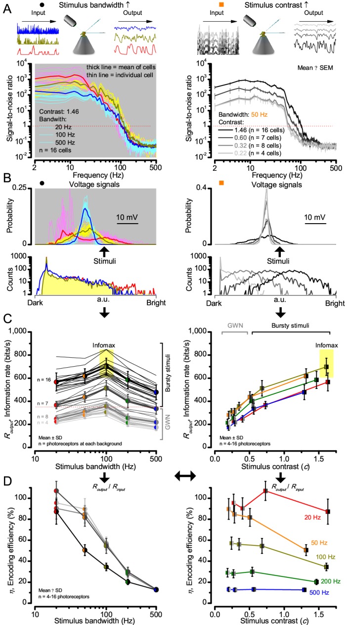 Figure 2—figure supplement 1.