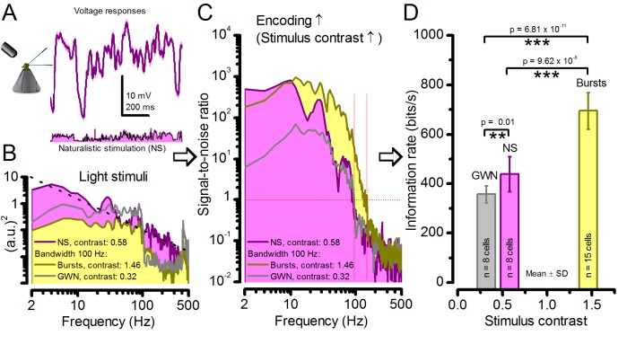 Figure 2—figure supplement 3.